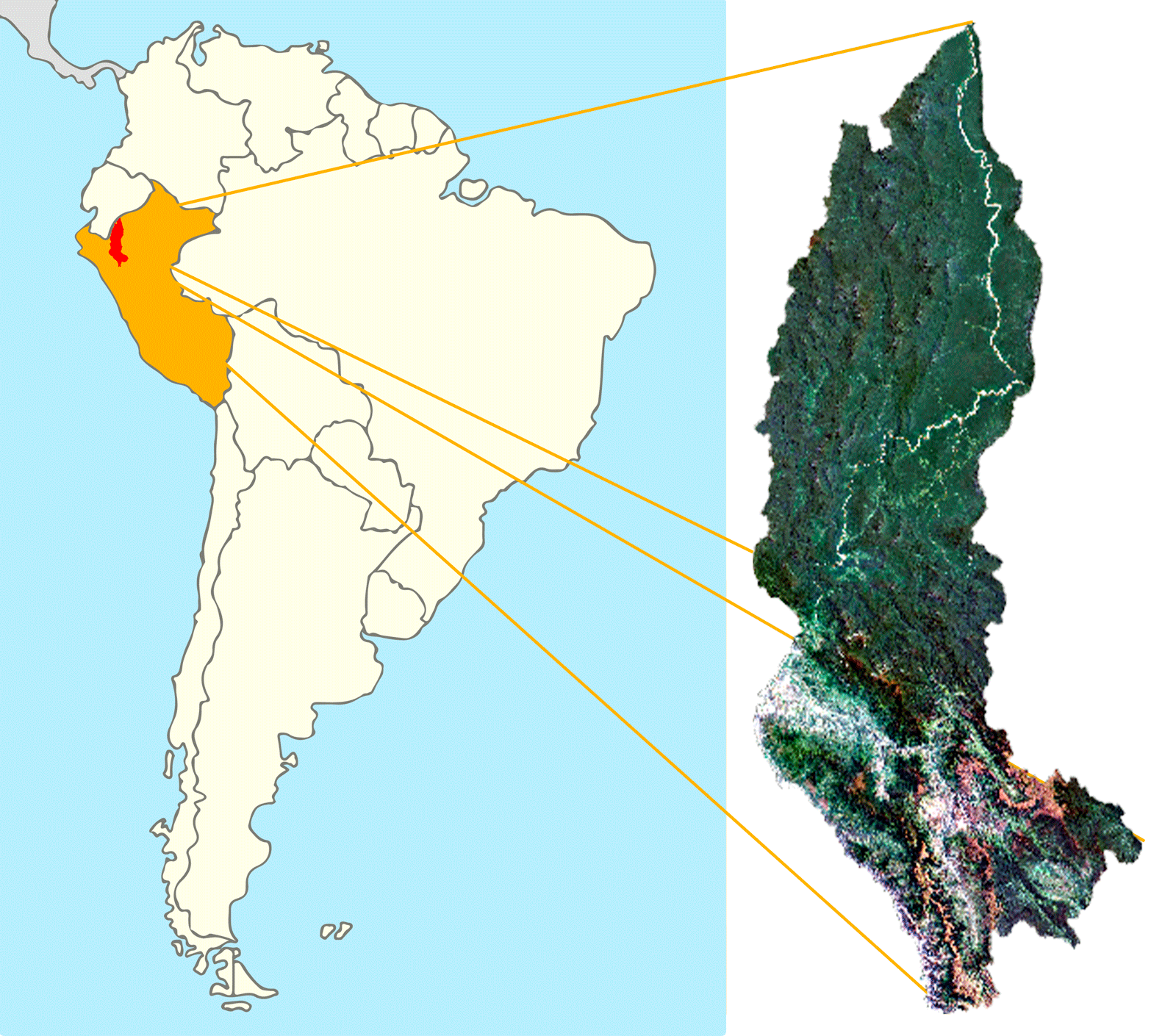Amazonas Map